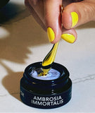 将图片加载到图库查看器,AMBROSIA IMMORTALIS The Eye Complex Leave-On Peptide Mask