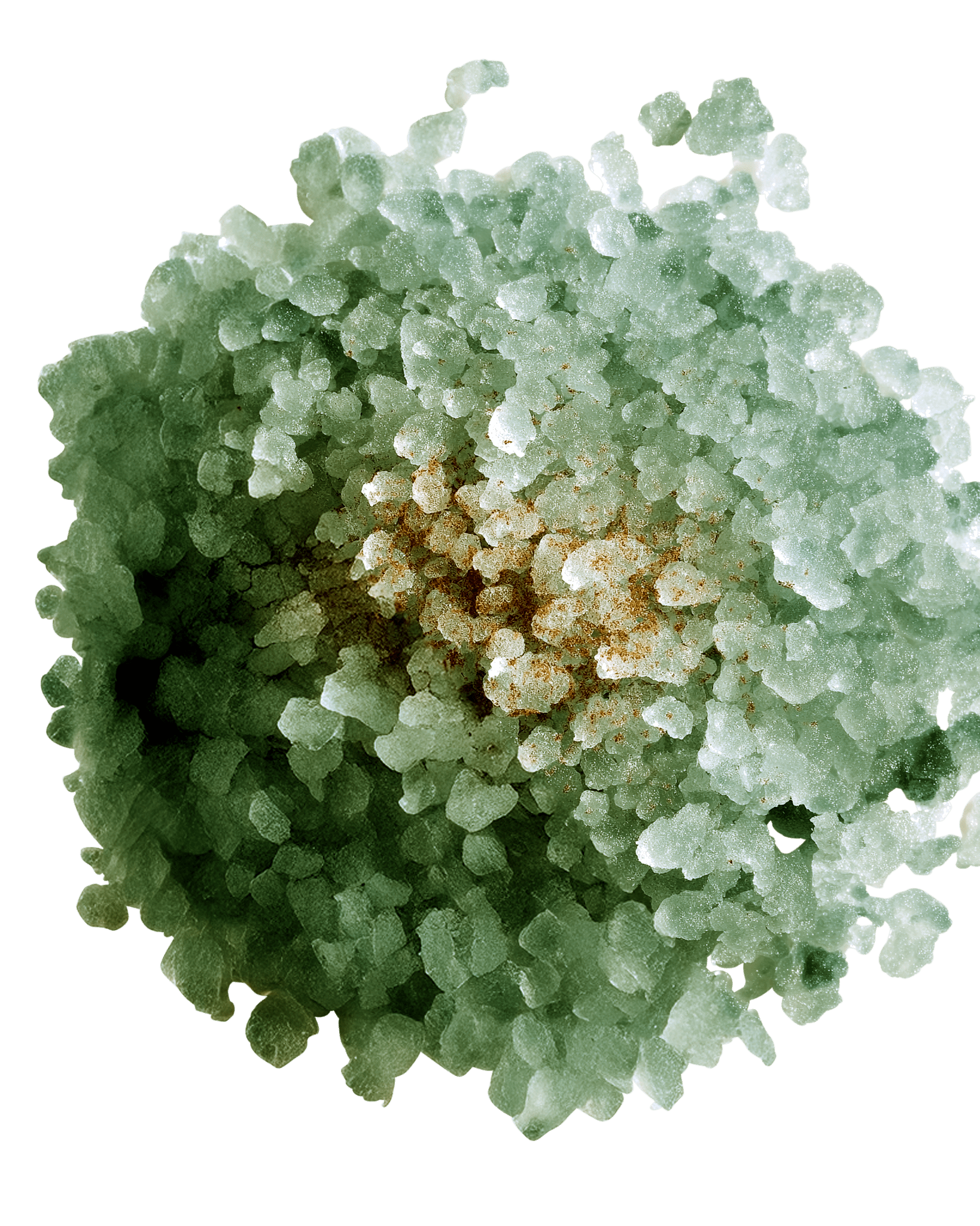 ADRIATIC TEMPLE - L I L F O X