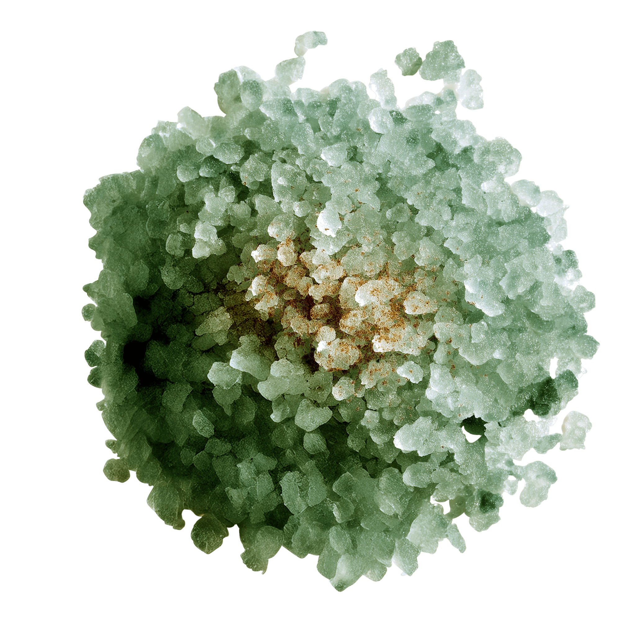 ADRIATIC TEMPLE - L I L F O X