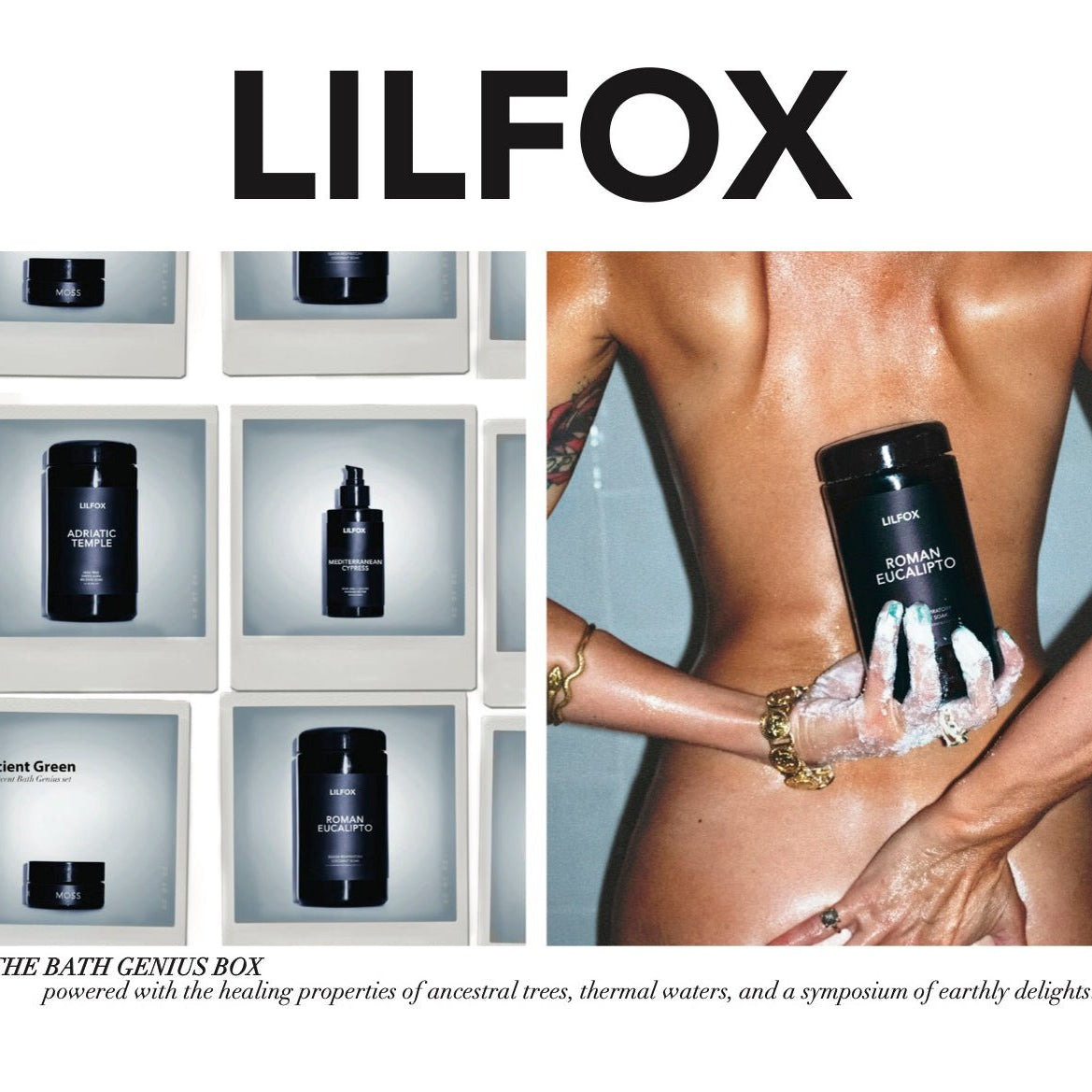 ANCIENT GREEN - L I L F O X