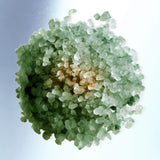 Load image into Gallery viewer, ADRIATIC TEMPLE | Holy Tree Green Incense Soak
