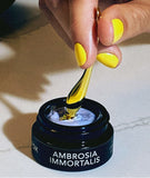 Load image into Gallery viewer, AMBROSIA IMMORTALIS  The Eye Complex Leave-On Peptide Mask
