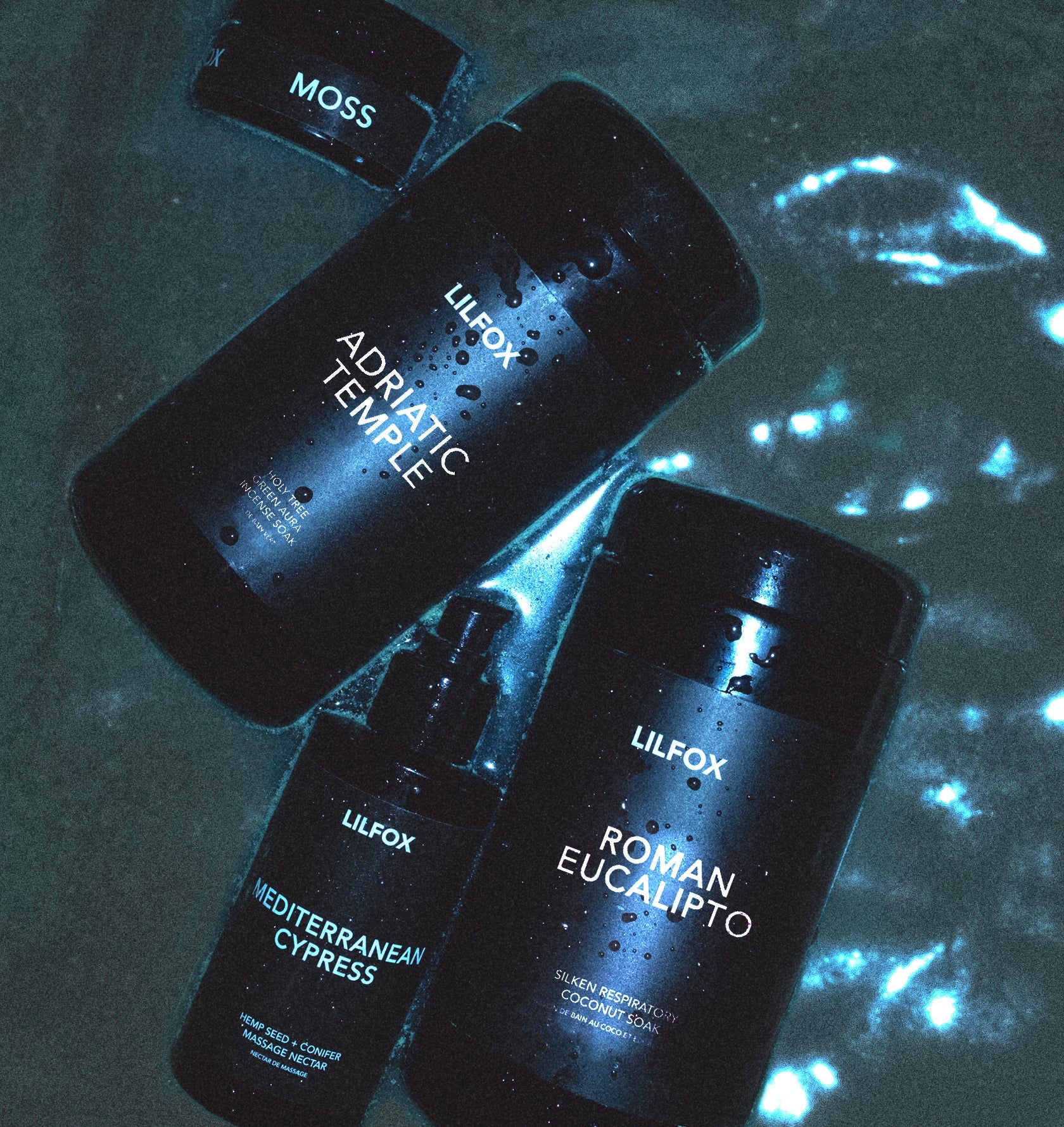 ANCIENT GREEN - L I L F O X