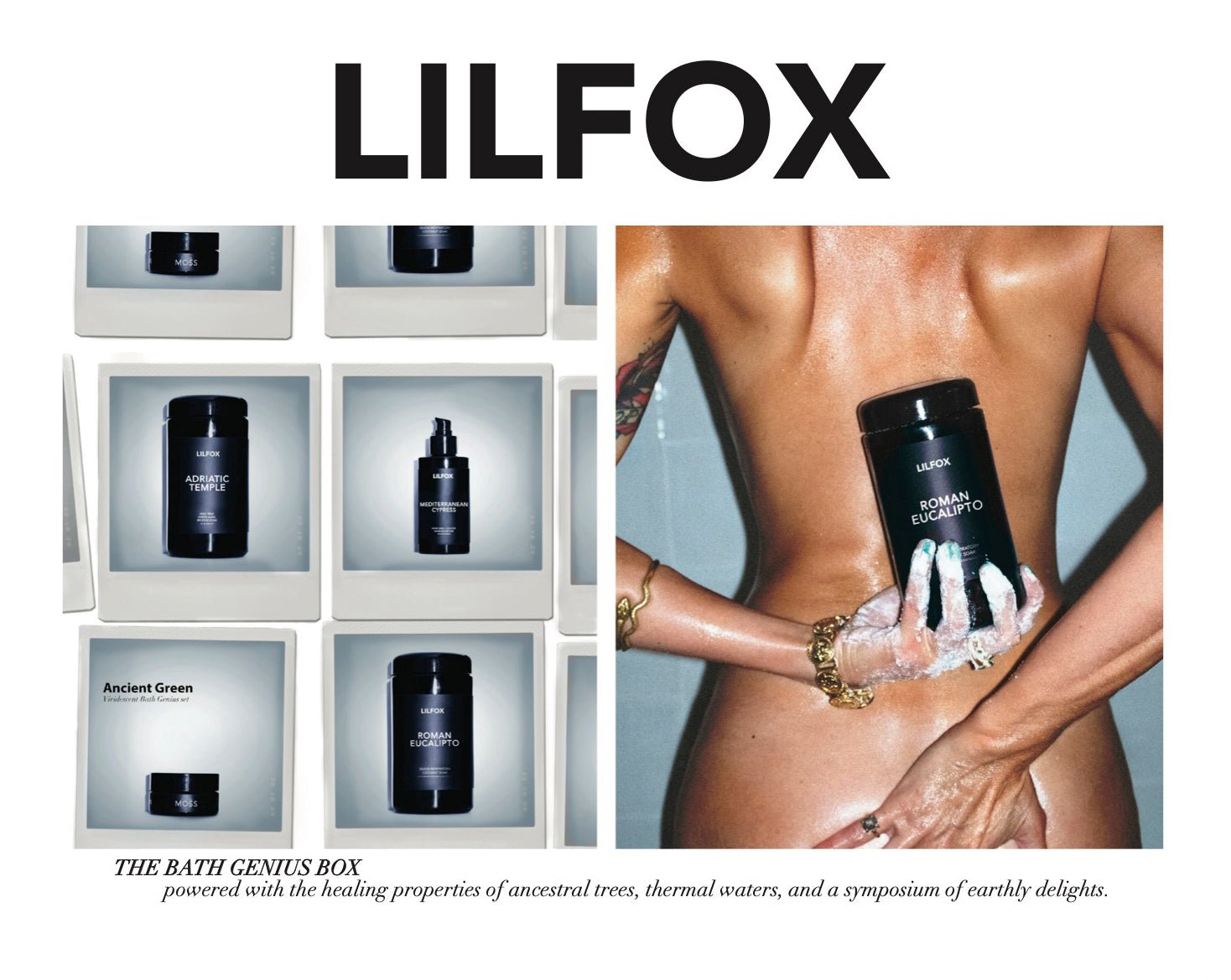 ANCIENT GREEN - L I L F O X