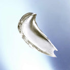 DEWY BEAN DREAM - PRO 50ml - L I L F O X