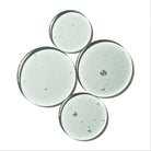 ENLIGHTENMENT - L I L F O X