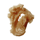 ORANGE BLOSSOM YLANG BANG - L I L F O X