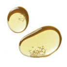 SANCTUARY - L I L F O X